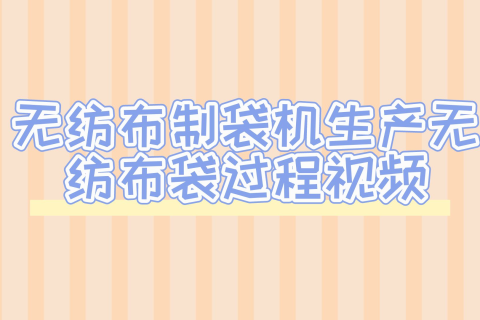 浙江正威無紡布制袋機生產(chǎn)無紡布購物袋過程視頻