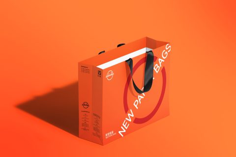 ZW-A12 平底無腰線扁繩紙袋機